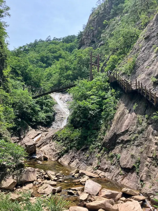 South Korea - nature